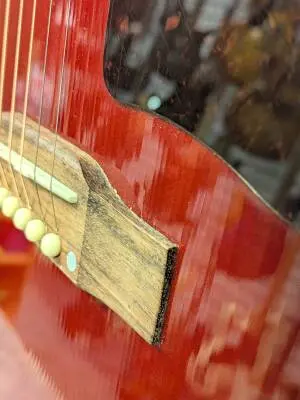 Epiphone - EISLASH45VMNH 2